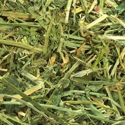 Alfalfa