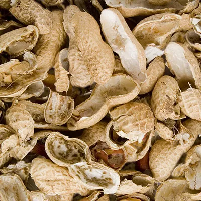 Peanut Shell