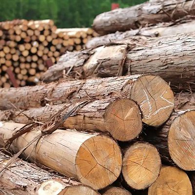 Troncos de Madera